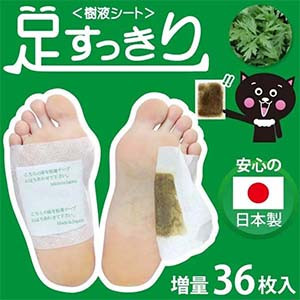 Japanese Detox sheet Foot Sap